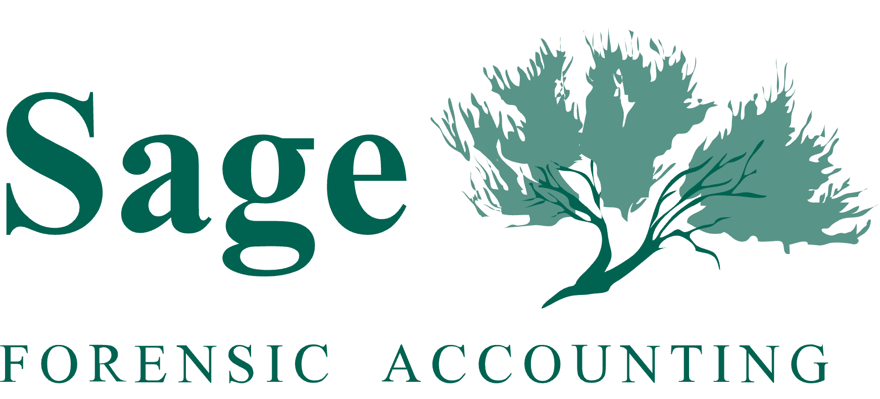 Sage Forensic Accounting logo